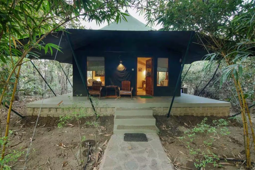 Pench Jungle Camp Luxury Safari